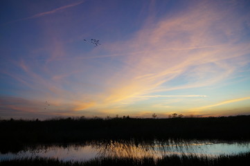 sunset in the swamp