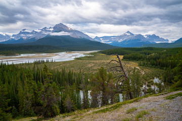 Saskatchewan River, Banff National Park, Alberta, Canada