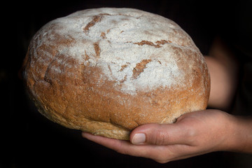 Hands holding fresh round bread.