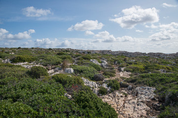 Fototapeta na wymiar Côte rocheuse à proximité du cap et du phare de Cavallería, Minorque, îles Baléares