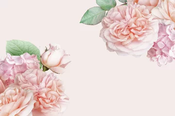 Foto auf Acrylglas Erröten Sie rosa Rosen, Tulpe, Hortensie einzeln auf pastellfarbenem Hintergrund. Blumenfahne, Kopfzeile mit Kopienraum. Natürliche Blumentapete oder Grußkarte. © RinaM