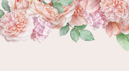 Pink roses, tulip, hydrangea isolated on pastel background. Floral banner, header with copy space. Natural flowers wallpaper or greeting card.