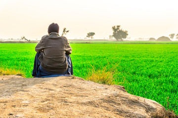 a young farmer sitting next to beautiful view of fresh and growing wheat green fields and sunlight in the background 