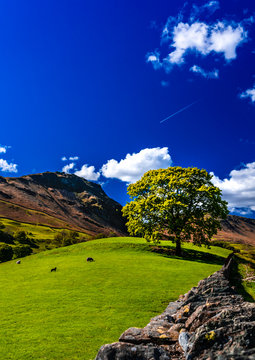 Lake District landscape in the surroundings of Grasmere village in Cumbria, England. Sunny day with blue sky and fluffy clouds.