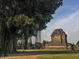Fototapeta na wymiar Old temple in yogyakharta, java indonesia near Borobudur temple