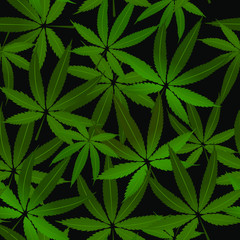 Cannabis leaves seamless pattern. Hemp background. Green marijuana texture.