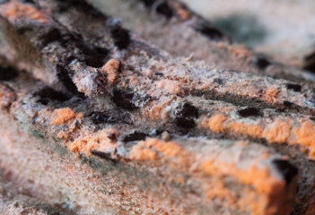 Mouldy (moldy) bread. Close-up.