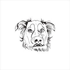 Hand drawn vector illustration dog. Sketch style drawing.