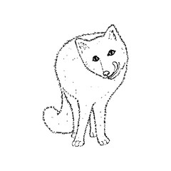 Arctic polar white fox. Black outline on white background. Picture can be used in greeting cards, posters, flyers, banners, logo, further design etc. Vector illustration. EPS10