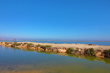 Salinas de San Pedro del Pinatar, Murcia, España