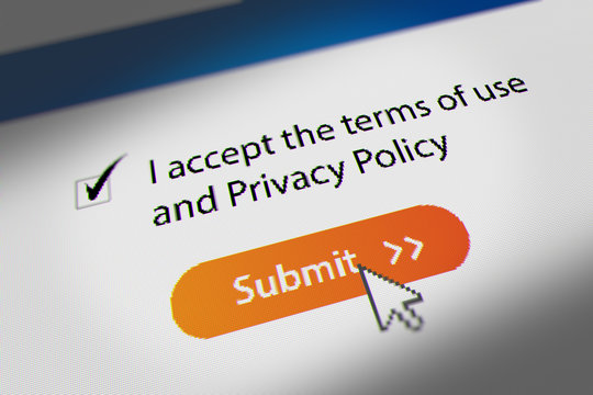 Mouse Cursor Clicking "I accept the terms of use  and Privacy Policy" Checkbox and Submit Button,  Terms and Conditions Agreement