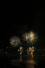 fireworks in the sky