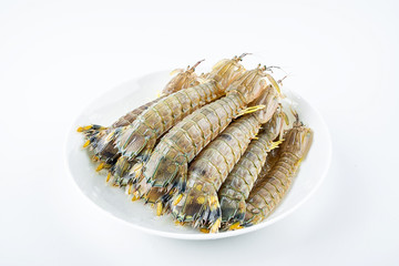 Fresh pip shrimp on a plate on white background