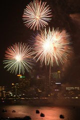 fireworks in the sky