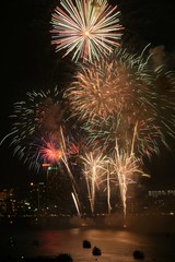 fireworks in the night sky