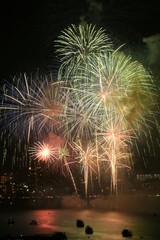 fireworks in the sky