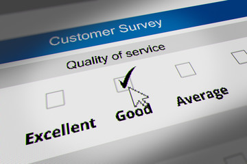 Customer Service Quality Survey Checklist. Mouse Cursor Checking Good Option