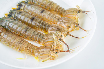 Fresh pip shrimp on a plate on white background