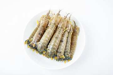 Fresh pip shrimp on a plate on white background