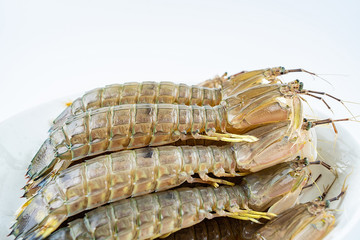 Fresh pip shrimp on a plate on white background