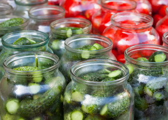 Pickling (canning) tomatoes and cucumbers.