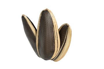 Sunflower seeds isolate on white.Entire image in sharpness.
