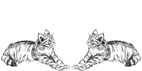 Fototapeta na wymiar linear black and white drawing lying cats border