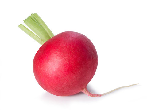 Fresh radish isolated on white.Entire image in sharpness.