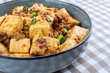 A bowl of Chinese national dish spicy spicy mapo tofu on the table