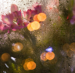 Flowers and light garlands behind the glass