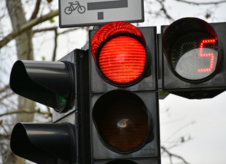 Red traffic light at the road crossing