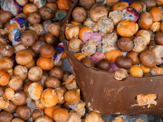 Rotten mandarin oranges on the landfill