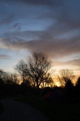 Sillhouette of willow tree at campsite during golden hour sunset.
