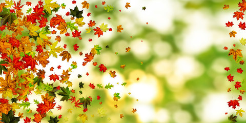Fototapeta na wymiar Autumn leaves background. October falling pattern isolated on colorful. Thanksgiving concept