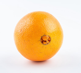 One fresh fruit Gannan navel orange on white background