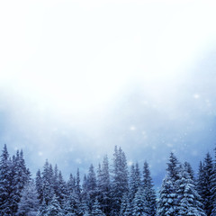 Rechteckiger Hintergrund für Weihnachten, Winter, Neujahr mit viel Textfreiraum-schneebedeckter tannenwald und fallende Schneeflocken