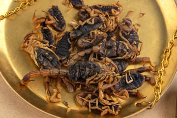 Traditional Chinese Medicine Concept Map / Chinese Medicine Scorpion