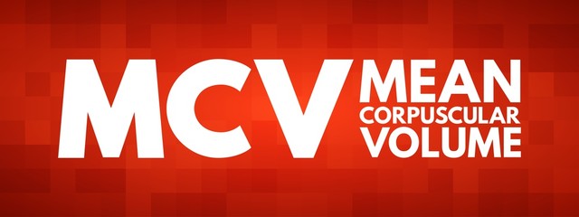 MCV - Mean Corpuscular Volume acronym, medical concept background