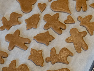 Gingerbread cookies on baking tray before baking