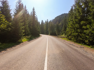 Naklejka premium Carpathian mountains road over the forest