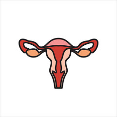Human organs. Female uterus icon.
