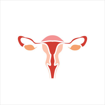 Human organs. Female uterus icon.