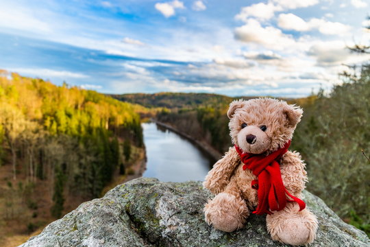 Teddy bear Dranik in autumn czech republic