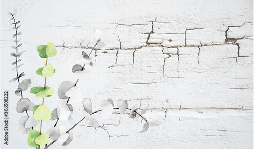 Background ナチュラルテイスト 背景イラスト ミントグリーン Wall Mural Noriori R Eorika Background ナチュラルテイスト 背景イラスト ミントグリーン Wall Mural Noriori R Eorika