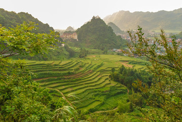 Fototapeta na wymiar Rice terraces around Tam Son in Ha Giang, Vietnam 