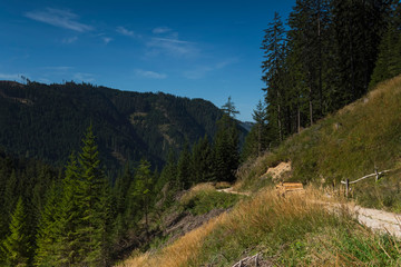 Alto Adige sunny day nature outdoor travel
