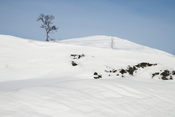Fototapeta premium winter landscape in sweden during a sunny day