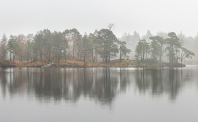 Beautiful mody Autumn Fall landscape of woodland and lake with mist fog during early morning