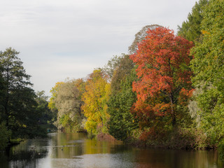 landscape in the autumn park