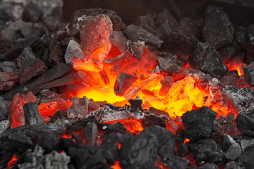 Embers glow in a iron forge, close view. Fire, heat, coal and ash.
